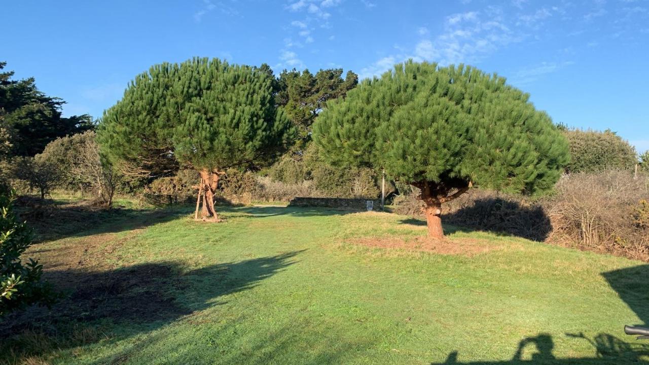 Villa Maison 100 M Plage, 2 Kms Du Port *